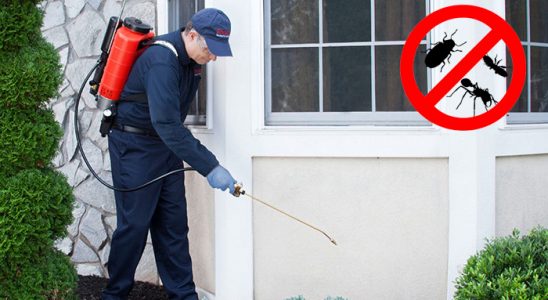Digor Haşere İlaçlama böcek ilaçlama ve haşere kontrolü — ilaclama-tr.com